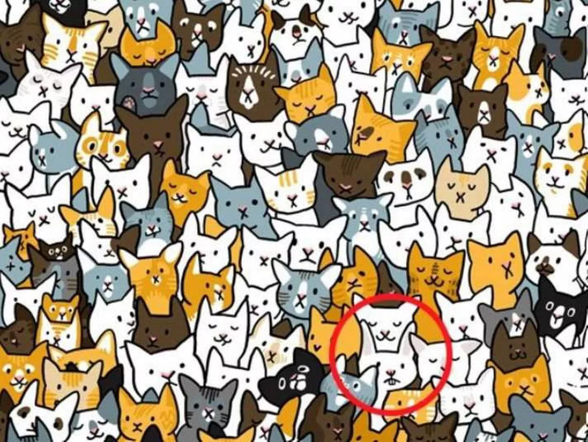 Det rätta svaret på pusslet 