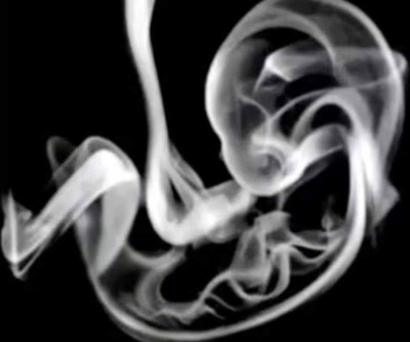 Test av bilder