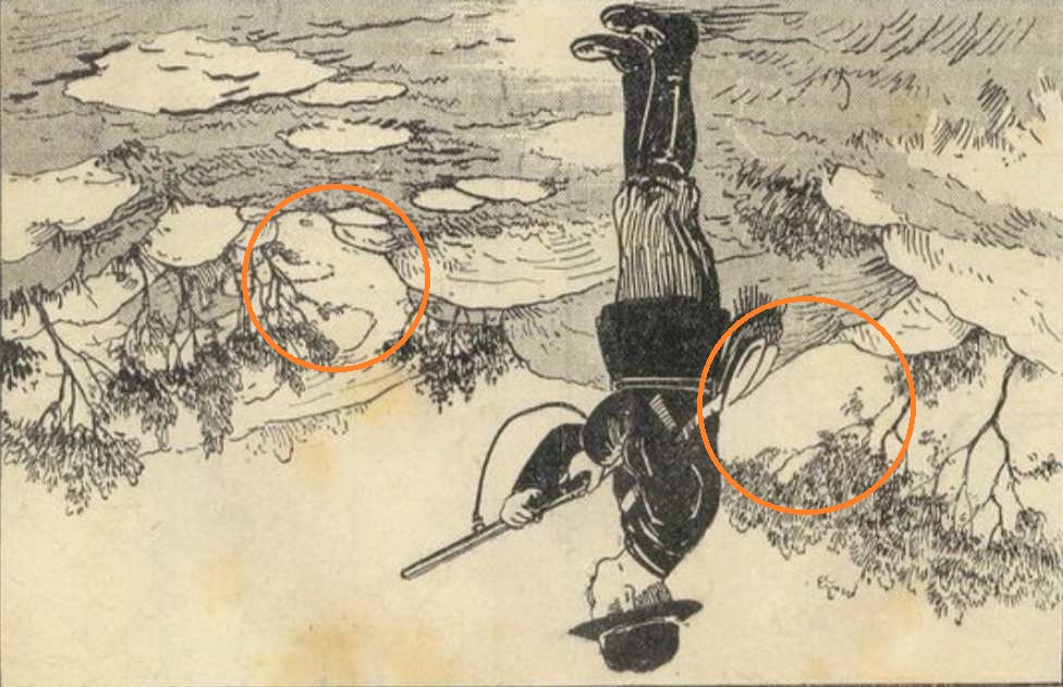 Optisk illusion