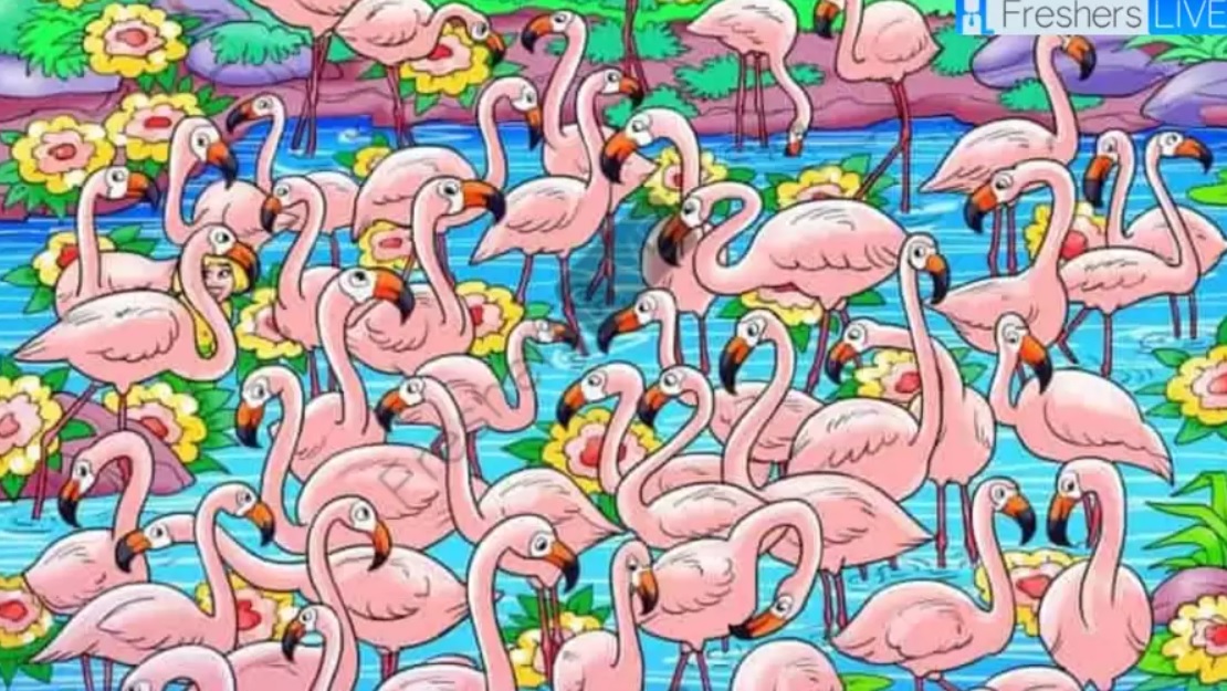 Hitta flickan bland flamingorna på 8 sekunder: detta pussel kommer att få ditt huvud att snurra