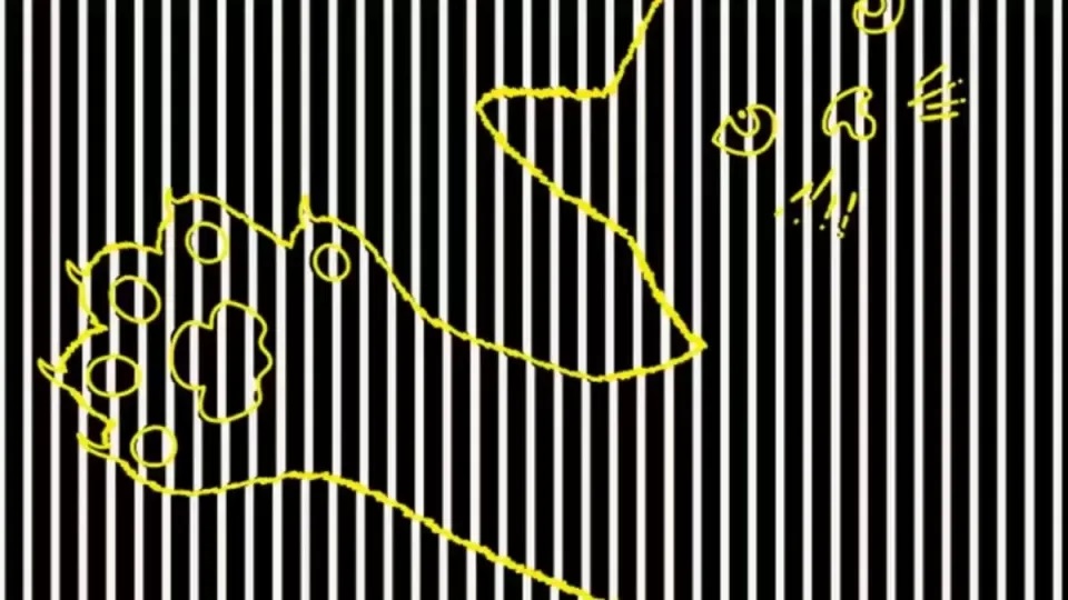 Optiska illustrationer