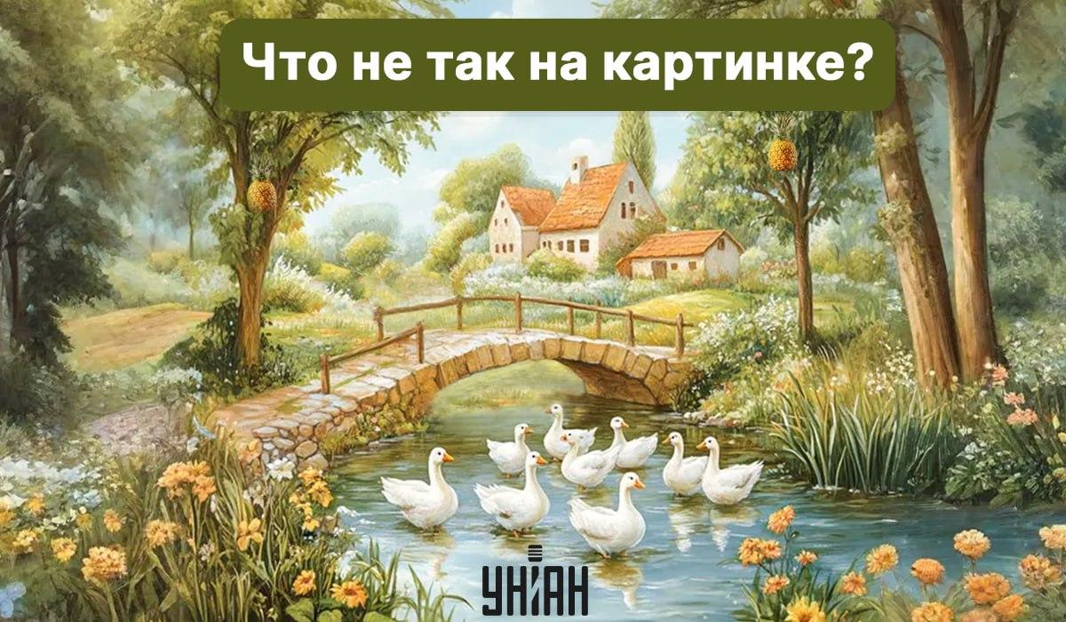 Moje collage