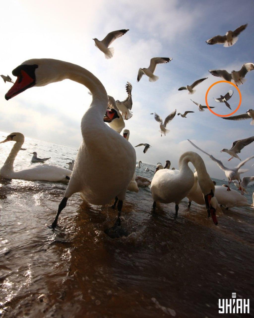 Moje foto