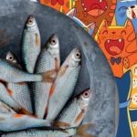 Hitta fisken bland katterna: ett roligt pussel för personer med