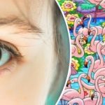 Hitta flickan bland flamingorna på 8 sekunder: detta pussel kommer